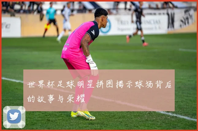 世界杯足球明星拼图揭示球场背后的故事与荣耀