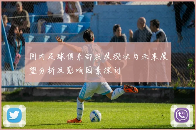 国内足球俱乐部发展现状与未来展望分析及影响因素探讨