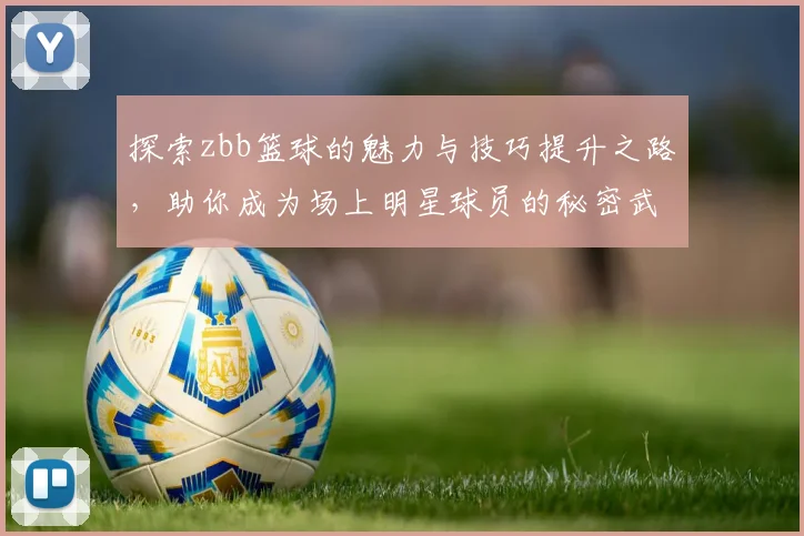 探索zbb篮球的魅力与技巧提升之路，助你成为场上明星球员的秘密武器