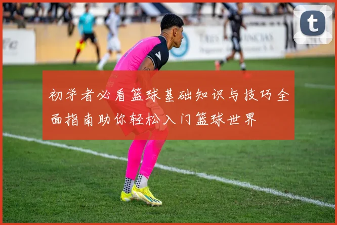 初学者必看篮球基础知识与技巧全面指南助你轻松入门篮球世界