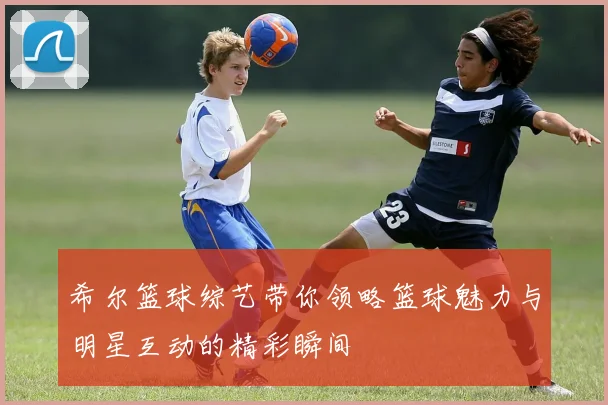 希尔篮球综艺带你领略篮球魅力与明星互动的精彩瞬间